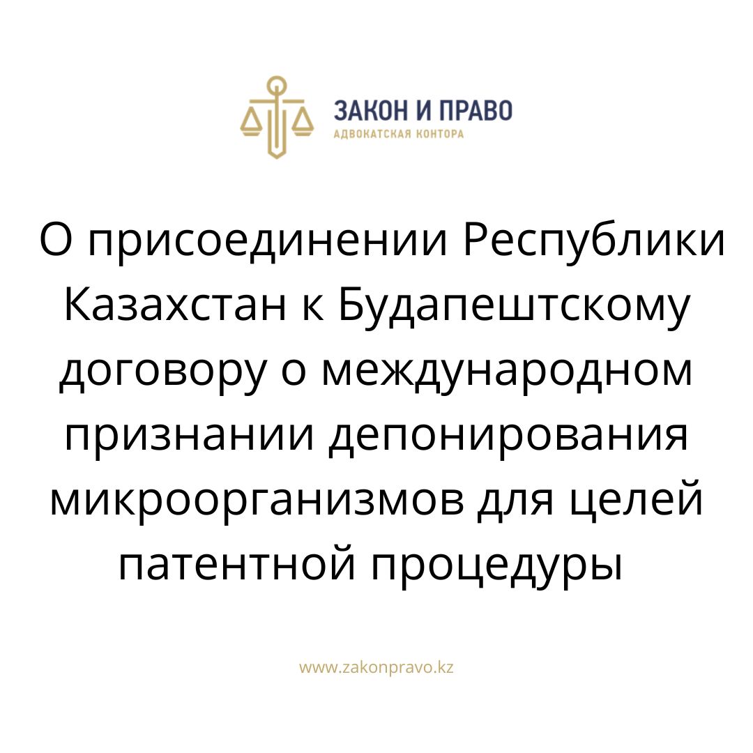 АMANAT партиясы және Заң және Құқық адвокаттық кеңсесінің серіктестігі аясында елге тегін заң көмегі көрсетілді